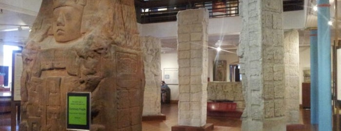 Peabody Museum of Archaeology and Ethnology is one of Museums & Sightseeing.