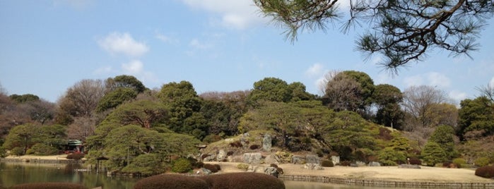 리쿠기엔 정원 is one of お散歩マップ.