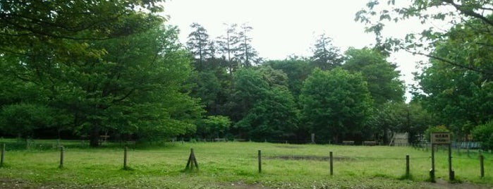 Nishi-en Park is one of Tempat yang Disukai Deb.