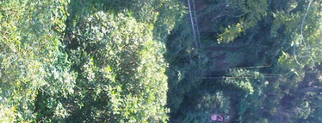 Camino de santa rosa a la cascada is one of Turismo en los alrededores de Xalapa.