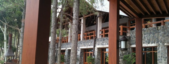 Carmelo Resort & Spa is one of Four Seasons Hotels.