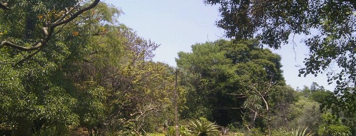 Botanical Gardens Pretoria is one of PTA because I live here.