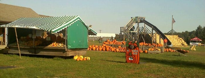 Stokoe Farms is one of Family-friendly Destinations around Rochester, NY.