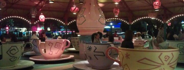 Mad Tea Party is one of Disney Sightseeing: Magic Kingdom.