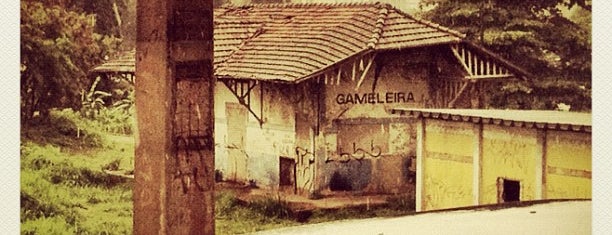 Gameleira is one of สถานที่ที่ Vanessa ถูกใจ.
