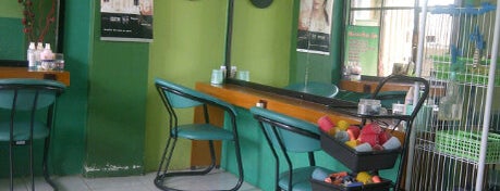 New Classic Salon is one of Tempat yang Disukai Fεmmy ℳαηggo🎀.