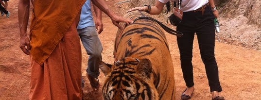 Tiger Temple is one of Thailandia.