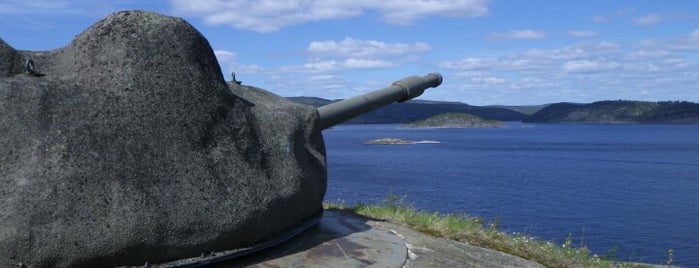 Hemsö fästning, lätta batteriet is one of Military history.