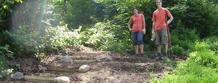 Wooden Steps Near Northwoods Apartments is one of Sustainable Skidmore.