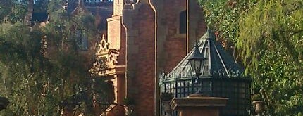 Haunted Mansion is one of Best Rides in Orlando.