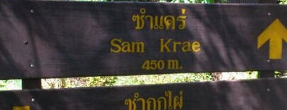 Sam Kok Don is one of พิชิตภูกระดึง | Phu Kradung Trip.