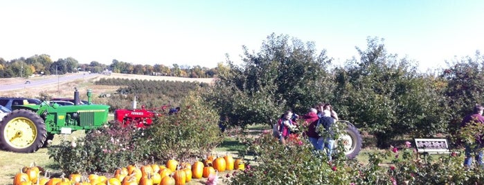 Fireside Orchard is one of Fall Harvests #MSP.