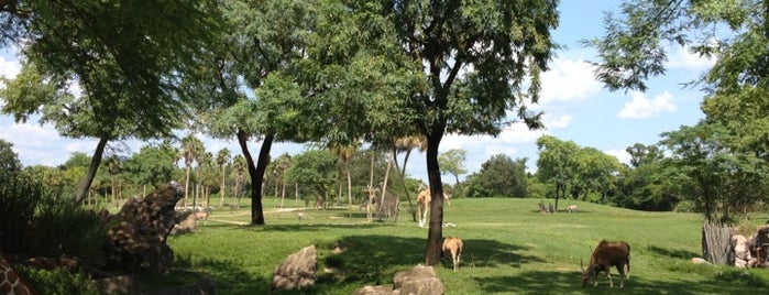 Busch Gardens Animal Care Center is one of Lieux qui ont plu à Lizzie.