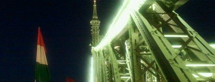 Pont de la Liberté is one of Places to go in Budapest.