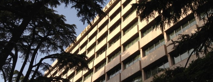 Hotel Villa Magna is one of Espana.