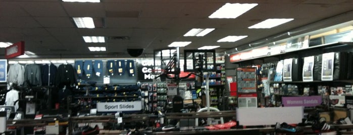 Modell's Sporting Goods is one of Locais curtidos por Zachary.
