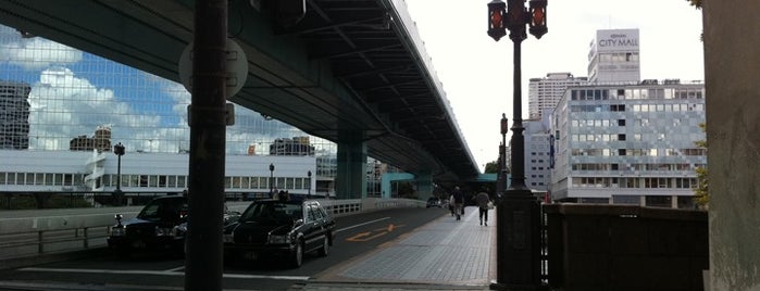 Temmabashi Bridge is one of 浪速の名橋50選.