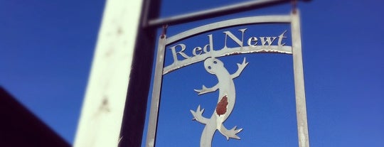 Red Newt Cellars is one of Fingerlakes.