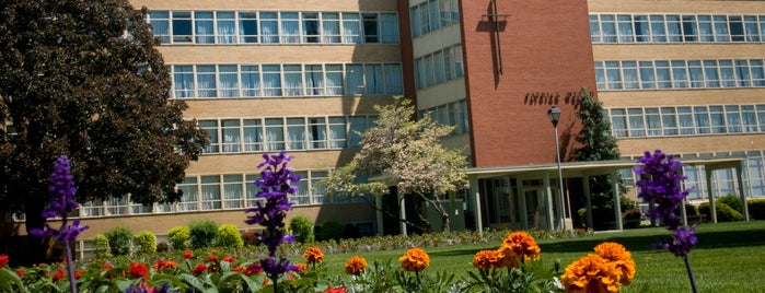 Welch Hall is one of On-Campus Living.