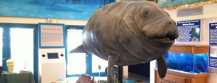 Manatee Observation & Education Center is one of Visit St. Lucie!  and Love it!.