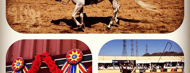 Scottsdale Arabian Horse Show is one of Awesome in Arizona #visitUS.