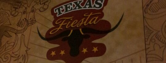 Texas Fiesta is one of Where to DINE, when in CHENNAI.