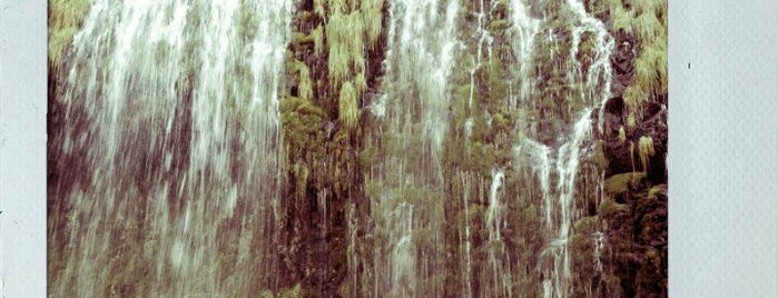 Mossbrae Falls is one of california.