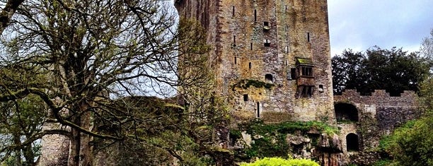 Blarney Castle & Gardens is one of World Traveler.