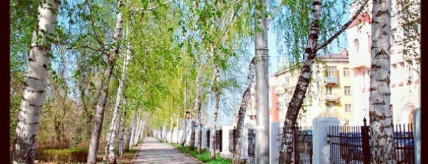 Strukovskiy Garden / Gorky Park is one of Что посмотреть в Самаре.