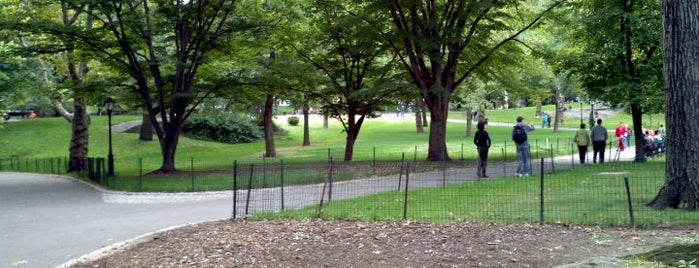 Central Park is one of Daytime Activities For Tourists In NYC.