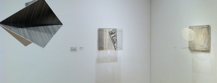 NYU Grey Art Gallery is one of Lieux qui ont plu à IrmaZandl.