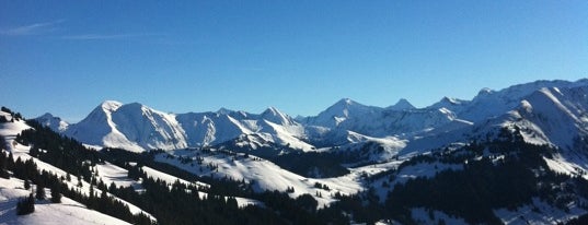 Saanen/Gstaad is one of The Best Skiing in the World.