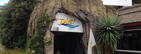 Dive! Tutukaka is one of Tempat yang Disukai David.