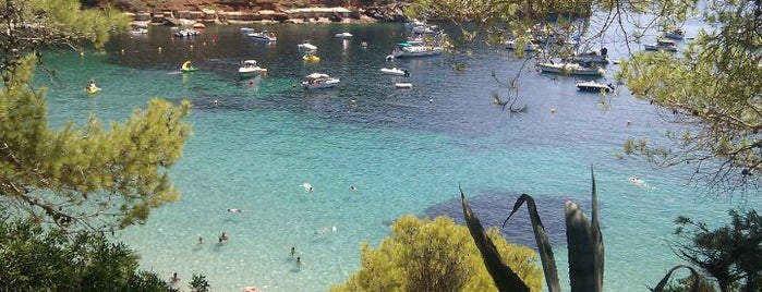 Cala Salada is one of Ibiza.