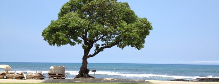 Four Seasons Resort Hualalai at Historic Ka`upulehu is one of Four Seasons Hotels.