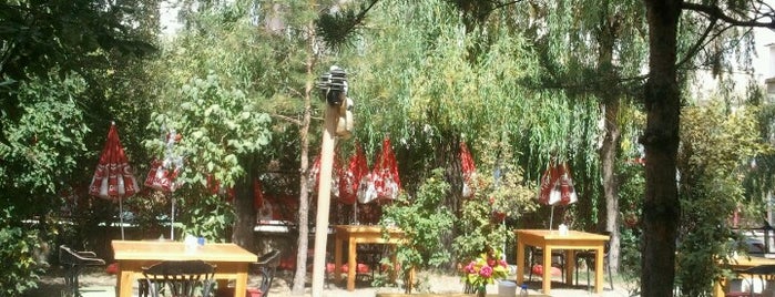 Anatolia Cafe is one of Erzurum.