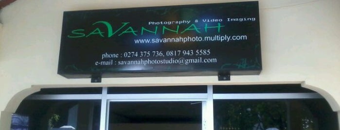 savannah studio