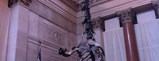 American Museum of Natural History is one of New York Family vacation 2012.