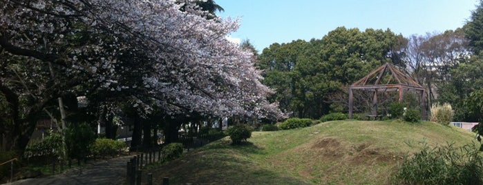 Toyama Park is one of Parks & Gardens in Tokyo / 東京の公園・庭園.