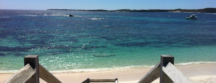 Rottnest Island is one of Down under.
