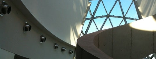 The Dali Museum is one of Guide to St Petersburg's best spots.
