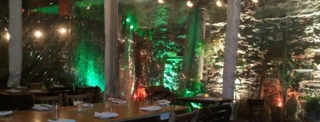 tree bistro is one of Perfect Venues for Group Gatherings (25 to 50 ppl).