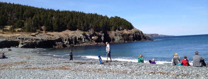 Middle Cove Beach is one of St. John's.