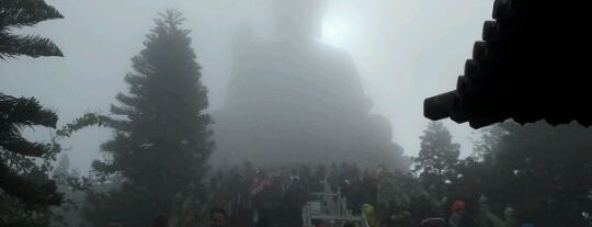 Tian Tan Buddha (Giant Buddha) is one of All Over the Place.