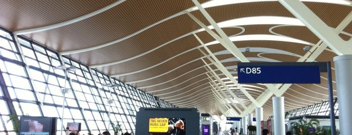 Bandar Udara Internasional Pudong Shanghai (PVG) is one of Stations/Terminals.