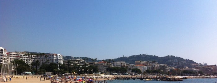 La Plage des Palmes is one of France-Cannes.