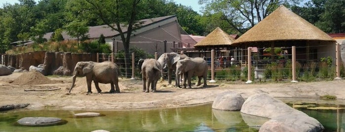African Elephant Crossing is one of Stephanie'nin Beğendiği Mekanlar.