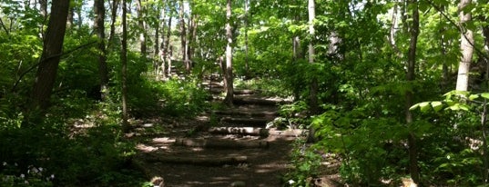 Bird Hills Park is one of Lieux qui ont plu à Sheena.