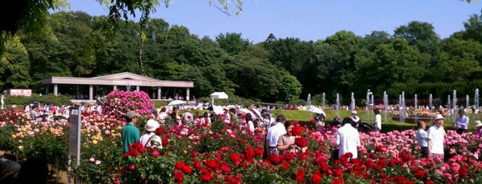 Jindai Botanical Gardens is one of 東京都立の公園・庭園.