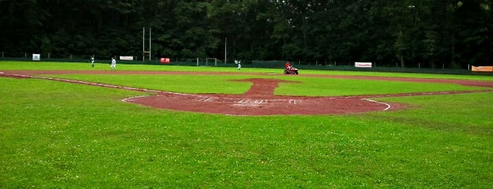 Circlewood Stadium is one of Baseball - 1. Bundesliga Nord und Süd.